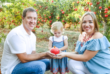 Portrait of little baby girl and her parents holding pomegranate fruit in sunset garden. Happy Family and fertility concept. Harvest and family time spending. Soft selective focus, space for text.