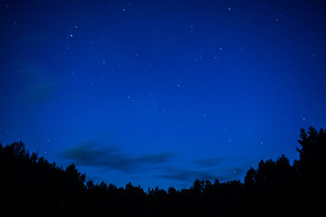 sky night forest