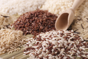 Various kinds of rice