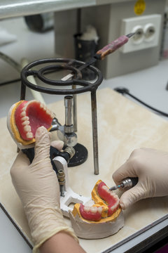 Dental laboratory  and dental technicial