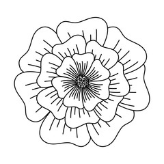 flower icon over white background, vector illustration