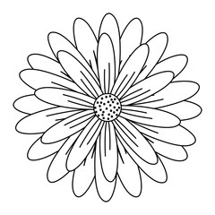 Obraz premium flower icon over white background, vector illustration