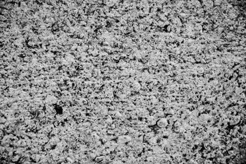 Concrete slab for background, cracked stone wall background