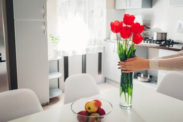 Woman puts tulips in vase. Housewife taking care of coziness in kitchen. Modern kitchen design