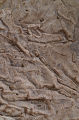 Texture with an abstract pattern from a concrete surface.