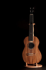 Fototapeta na wymiar Traditional ukulele. Wooden Uke folk instrument on stand.