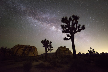 Naklejka premium Milky Way Galaxy at night in Joshua Tree National Park, California