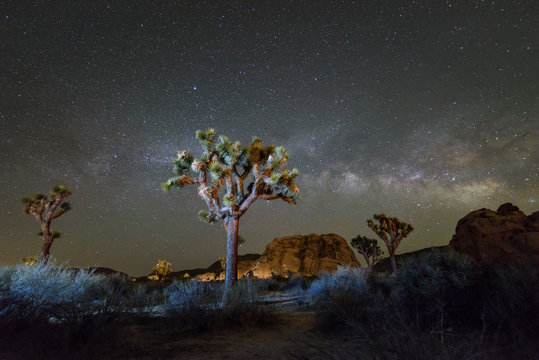 Milky Way Galaxy at night in Joshua Tree National Park, California