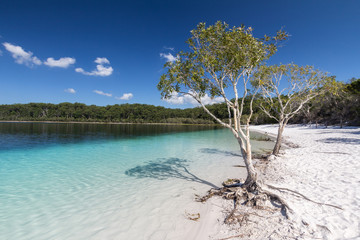 Mckenzie Lake, Fraser Island