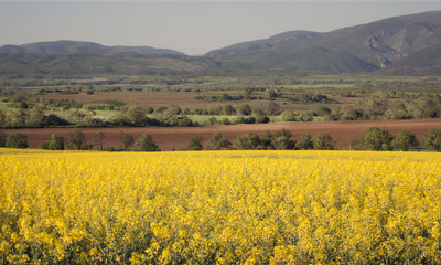 Spring landscape in Osogovo mountain, Bulgaria.