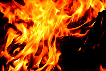 Closeup of fire flame and wood burning in  fireplace.