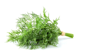 Bunch fresh dill closeup isolated.