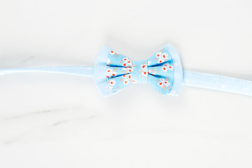 Blue bow on a white background.