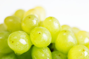 Berries of a grape close-up.