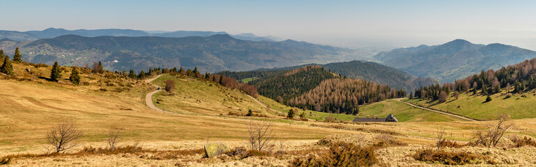 French landscape - Vosges. View from the Petit Ballon in the Vosges (France) towards the Black Forest and Rhine valley.