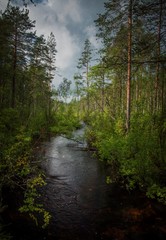 Karelia