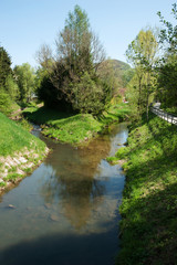 Fototapeta na wymiar Fluss, Salzburg, Alterbach, Sommer, Ausflug