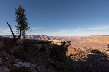 Grand Canyon view 