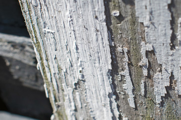 Peeling paint on old wood