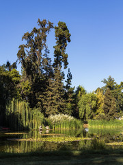 lake and garden in a farm near Santiago