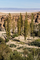 oasis in canyon in atacama desert