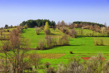 landscape , mountain Zlatibor