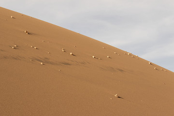 small rocks on a dune in the atacama desert
