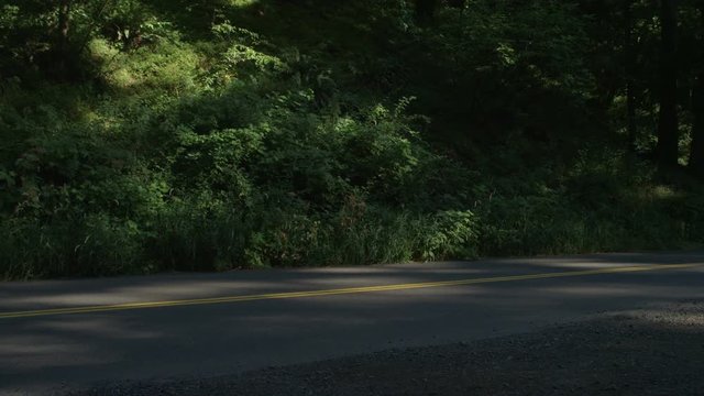Front view of a Driving Plate: Car turns left from a pullout and travels east on the Historic Columbia River Highway to Bridal Veil where it pulls into a parking area on the right.