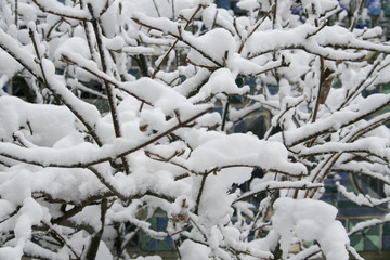 Providence RI Winter