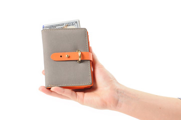 Female hands holding leather wallet