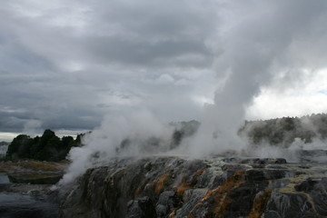 Rotorua geysers