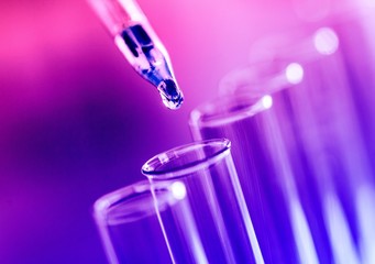 Lab.