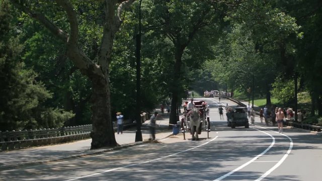 High-speed recreational traffic dashing through Central Park, NYC