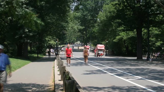 High-speed exercisers and recreational traffic in Central Park, NYC