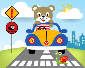 driving in the street city with funny animal at summer, vector cartoon illustration