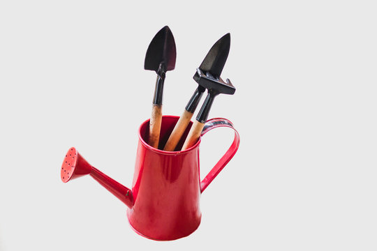 Tool for digging shovels for agriculture and as tool for farmers.
