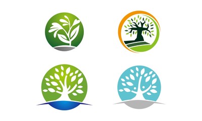 Oak Tree Template Set