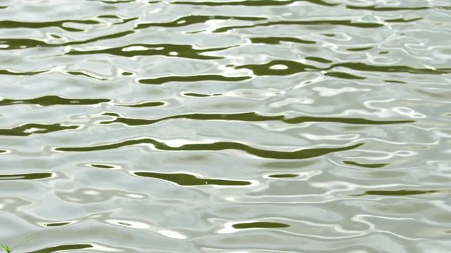 4k resolution : Water surface reflection from the sun
