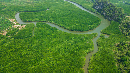 aerial view landscape of  Tree or forest ,  Krabi Thailand