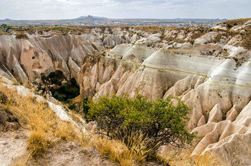 Rose valley Goreme Cappadocia Turkey in summertime
