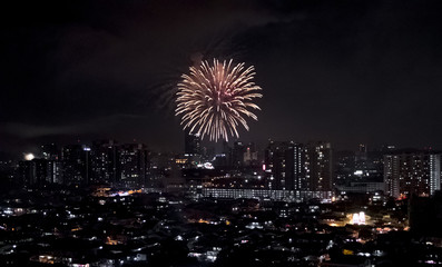 Firework bursting above dark city in night.