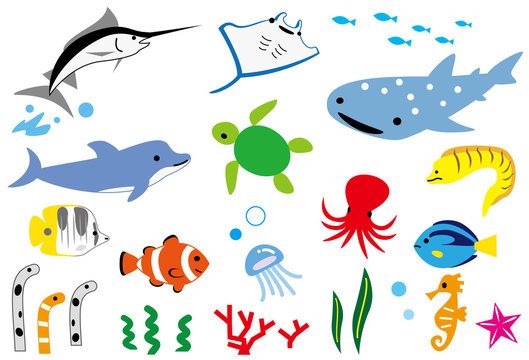 海洋生物images Browse 2 498 Stock Photos Vectors And Video Adobe Stock 海洋生物images Browse 2 498 Stock Photos Vectors And Video Adobe Stock