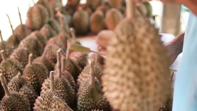 fruit seller testing and seeking for sweet durian in side street shop bangkok thailand