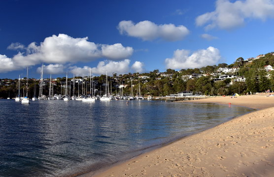 Many moored yachts and boats in Sandy bay at low tide (Clontarf beach, Sydney, NSW, Australia).