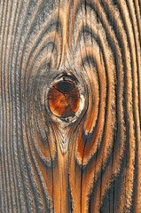 Wood Metaphor of Earth's magnetic field