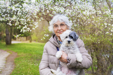 Happy Smiling Senior Woman Hugging her Poodle Dog in a Spring Park