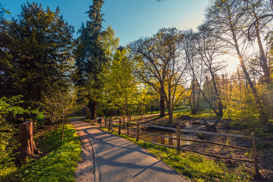 Green Space Around Royal Holloway, University Of London