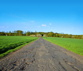 Asphalt old road damaged after winter. 