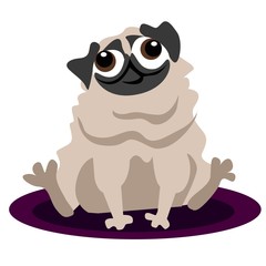 Funny cartoon pug dog illustration with white background