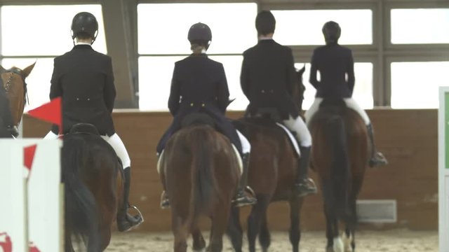Equestrian riders on bay stallions in the equestrian arena